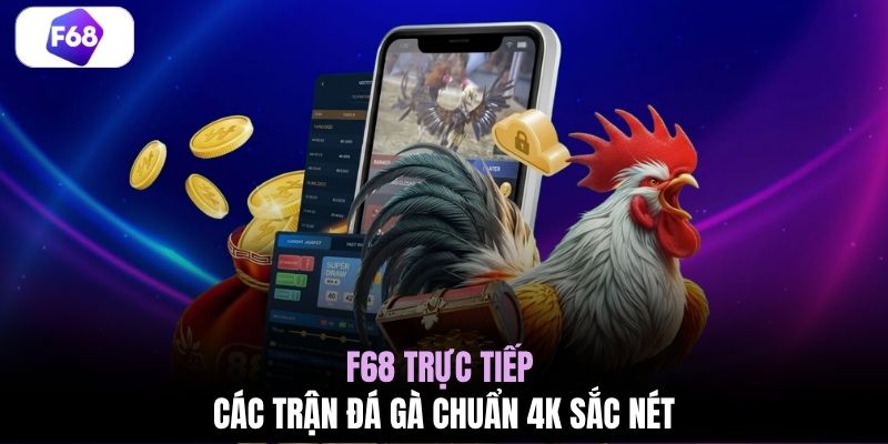 F68 trực tiếp các trận đá gà chuẩn 4K sắc nét